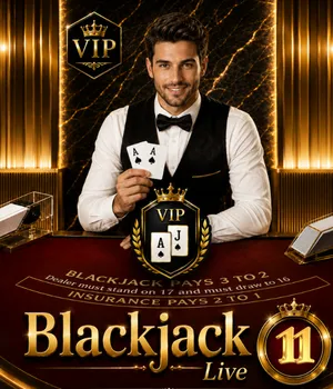 Blackjack VIP 11